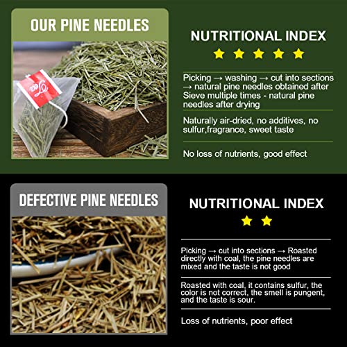 Organic Pine Needle Tea Bags (30 Count)