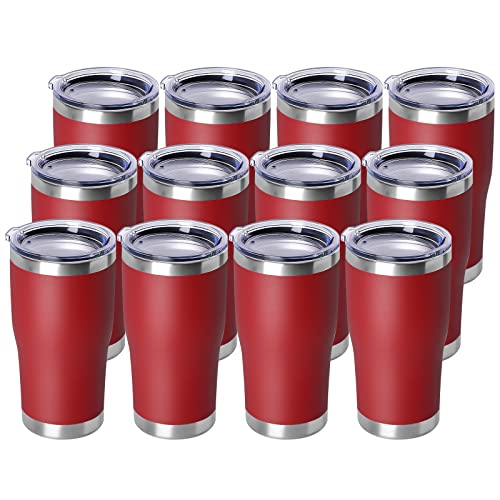 20oz Tumbler with Lid Stainless Steel Tumblers Bulk (12 Count)