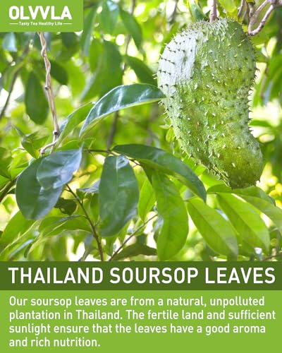 Soursop Tea Bags (70 Count)