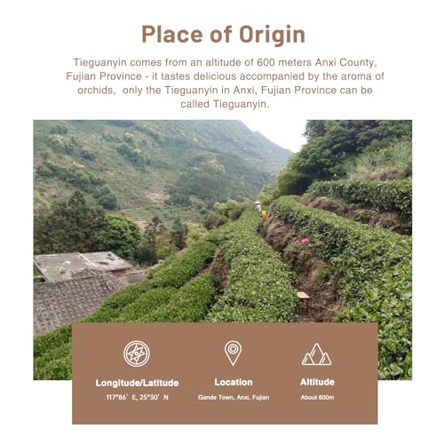 Tieguanyin Oolong Loose Leaf (3.5 Ounce)