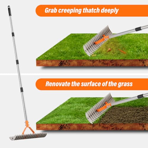 62" Adjustable Thatch Rake