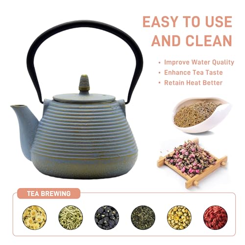 Teapot with Stainless Steel Infuser for Loose Tea
