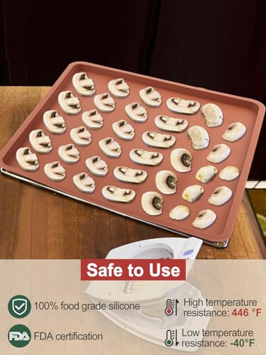 4PCS Silicone Food Dehydrator Sheets with Edge