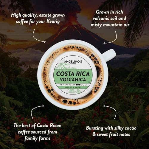 Costa Rica Volcanica Coffee Pods (24 Count)