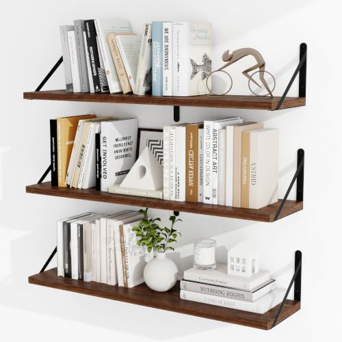 Floating Book Shelves for Wall