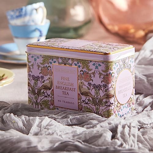 Song Thrush Tea Tin with 40 Black Tea Bags (40 Count)
