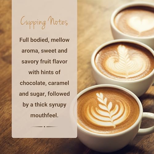 Medium Roast Papua New Guinea Kunjin Single Origin Coffee Pods (10 Count)