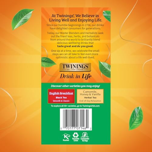 Irish Breakfast Black Tea Individually Wrapped Bags (300 Count)