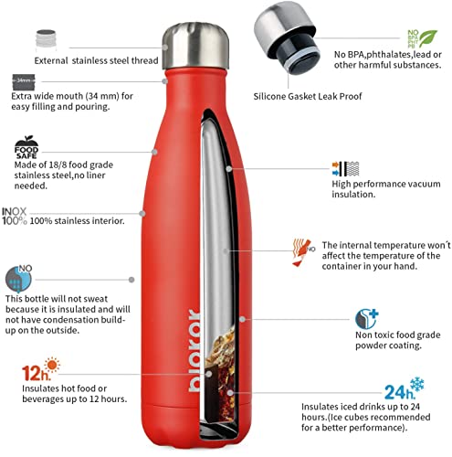 17 oz Insulated Water Bottle