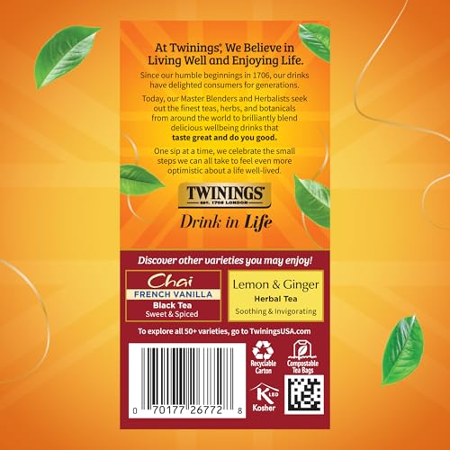Ultra Spice Chai Black Tea Bags (120 Count)