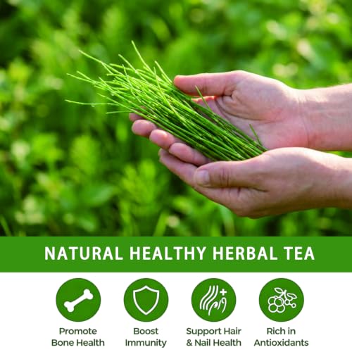 Horsetail Tea Bags (50 Count)