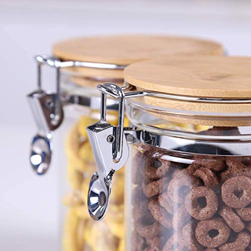 Clear Borosilicate Glass Storage Jars with Airtight Locking Clamp Lids (2 Count)