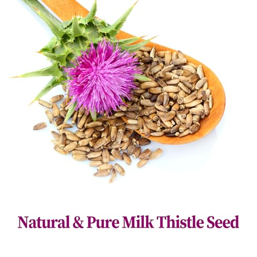 Milk Thistle Tea Bags (40 Count)
