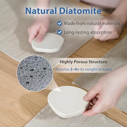 4 Pack Diatomite Absorbent Coasters for Drinks (4 Count)