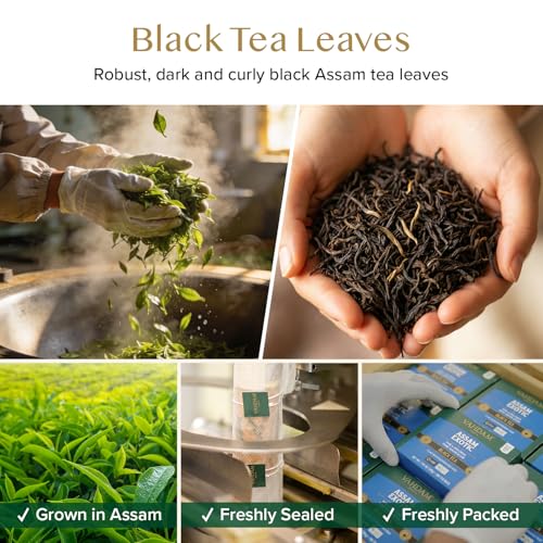 Assam Black Tea Bags (100 Count)