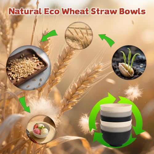 Small Bowls Set 6PCS