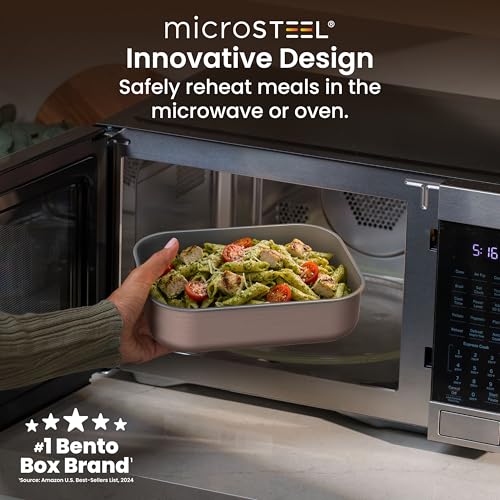 MicroSteel Leak