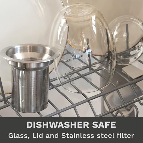 Double Walled Tea Glass with Stainless Steel Filter and Glass Lid