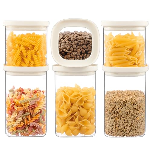Glass Food Storage Jar with Glass Lid in Square Shape (6 Count)