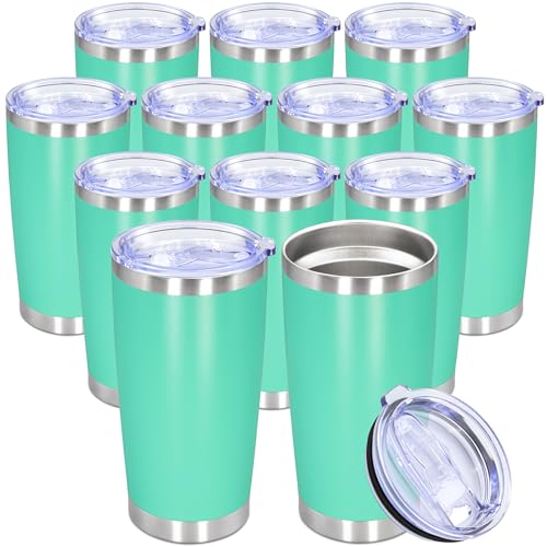 20oz Tumbler Stainless Steel Tumbler Coffee Tumbler with Lid Light Blue