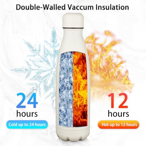 Insulated Water Bottle (2 Count)