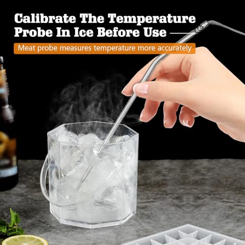 Meat Probe Thermometer Replacement for Thermopro TP10 TP25 etc (2 Count)