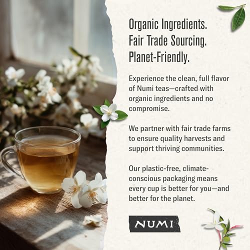Organic Jasmine Green Tea (100 Count)