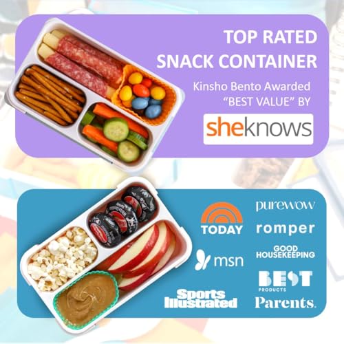 Small Snack Box Containers for Kids (3 Count)
