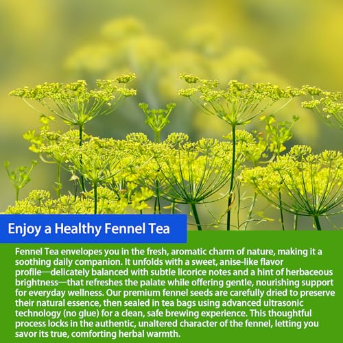 Fennel Tea Bags (40 Count)