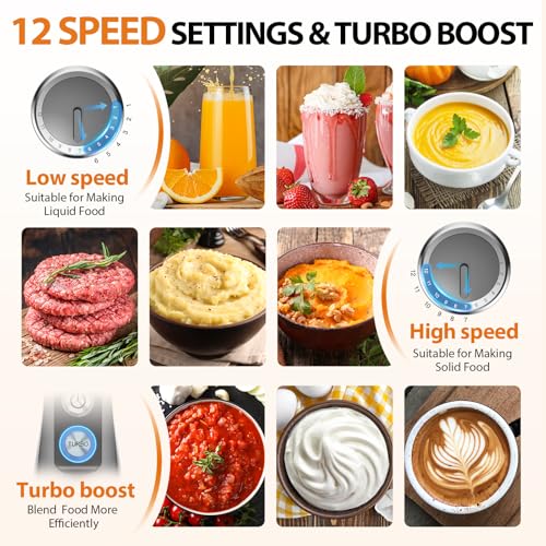 Immersion Blender