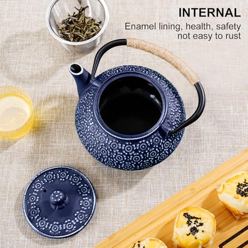Cast Iron Teapot