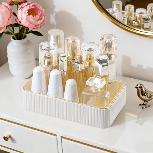 Desk Organizer Tray