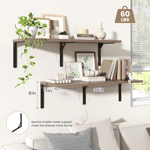 Floating Shelves for Wall (2 Count)