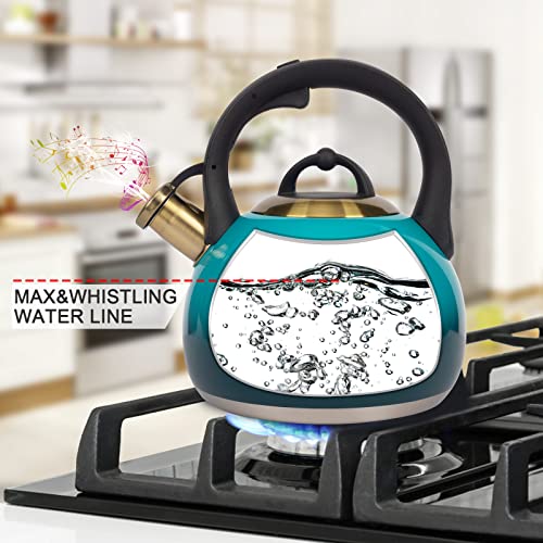Tea Kettle Stovetop Whistling Kettle Teapot