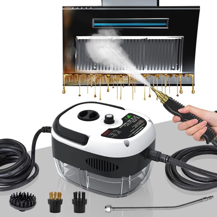 Steam Cleaner for Home