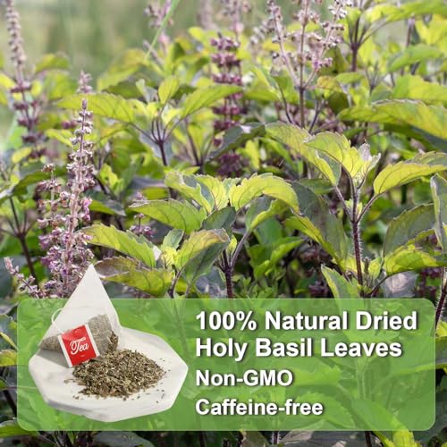 Holy Basil Tea Bags (40 Count)