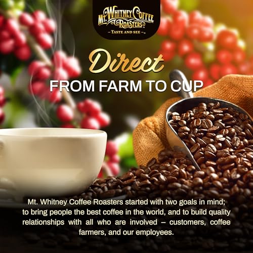 Base Camp Blend Medium Dark Roast Coffee (80 Ounce)