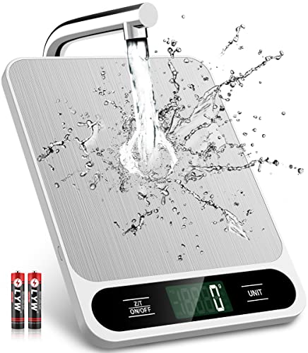 Food Scale White