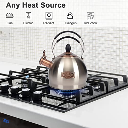 Whistling Tea Kettle Stainless Steel Teapot