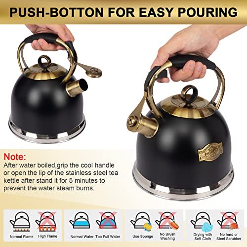 Tea Kettle 3.0 Quart Tea Kettles Stovetop Whistling Teapot Stainless Steel Tea Pots for Stove Top Whistle Tea Pot