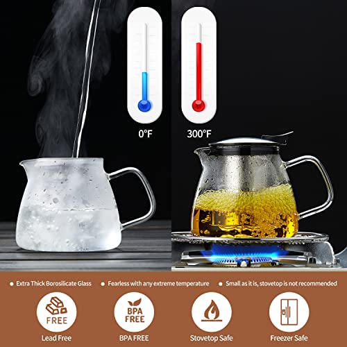 Glass Teapot Tea Pot with Removable Stainless Steel Infuser