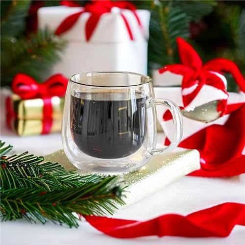 10oz Double Walled Glass Coffee Mugs (2 Count)