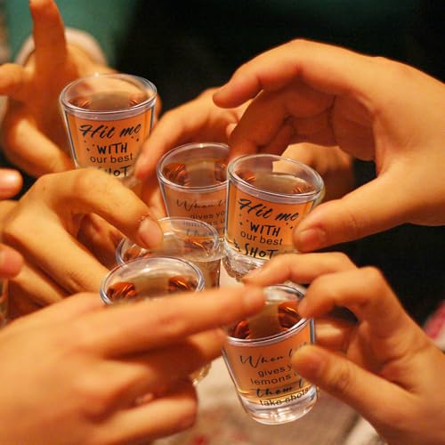 24 Pieces Funny Friends Shot Glasses Funny Friends Shot Glasses Clear Glass Cups with Heavy Base for Adult Small Glass Shot Cups 1.75 oz Shot Glass for Best Friend (24 Count)