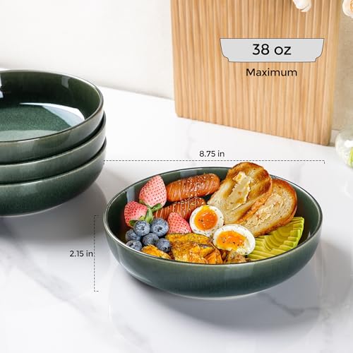8.75'' Large Ceramic Pasta Bowls (4 Count)
