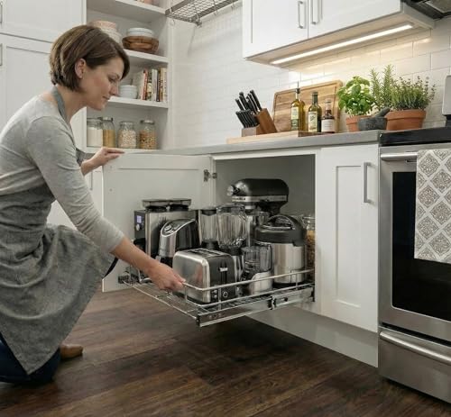 Pull Out Cabinet Organizer