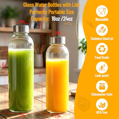 Clear Glass Bottles with Lids (6 Count)