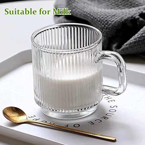 6 PACK Premium Glass Coffee Mugs with Handle (6 Count)