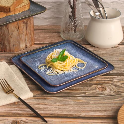 Porcelain Dinner Plates set dessert salad dish Set of 4 (4 Count)