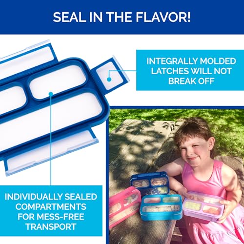 Small Snack Box Containers for Kids Toddlers (2 Count)