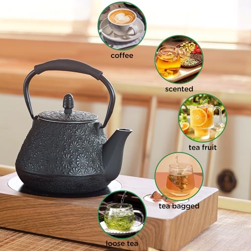 Cast Iron Teapot
